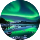 Nashmil Dolatjavid Avatar